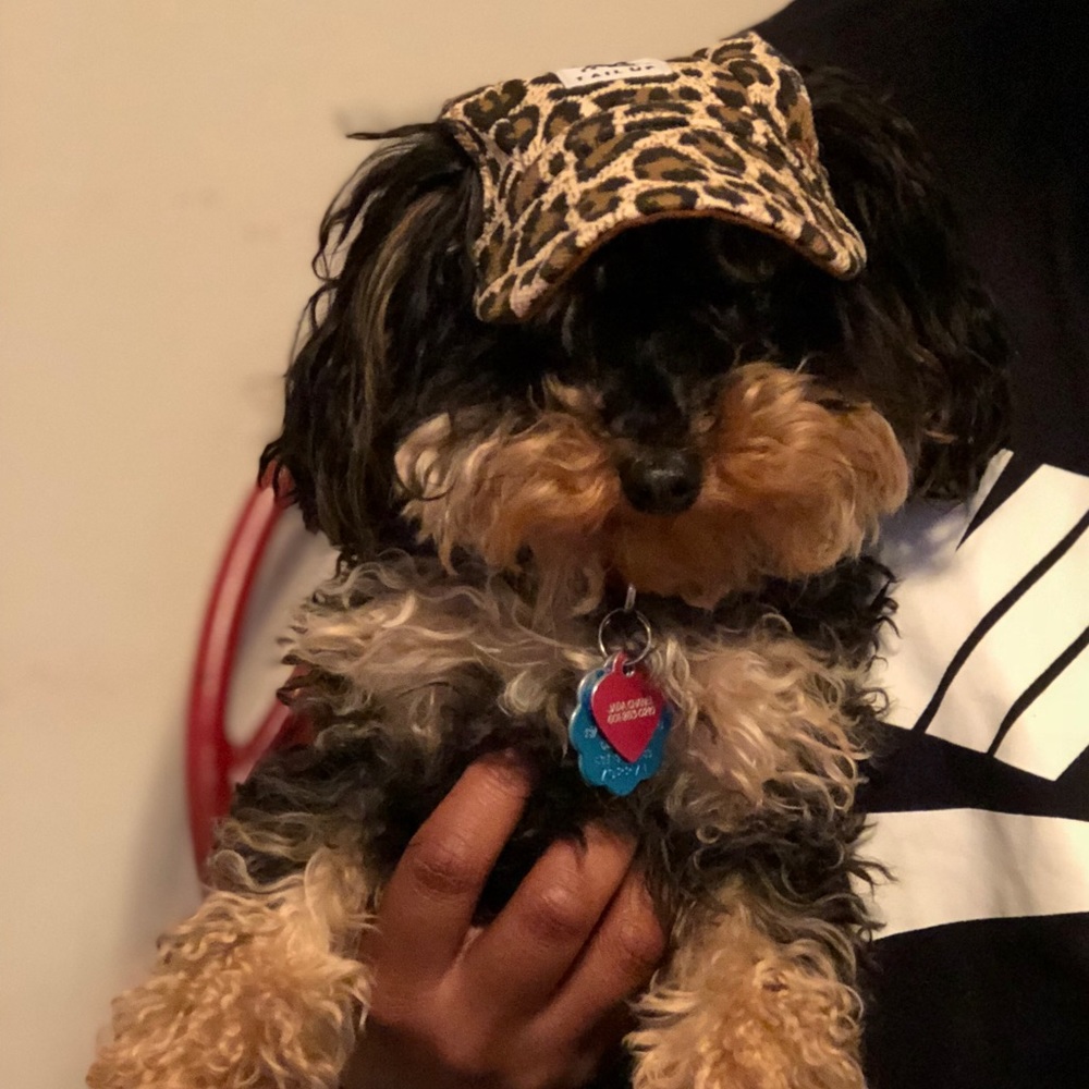 Meet your Posher, Jamard